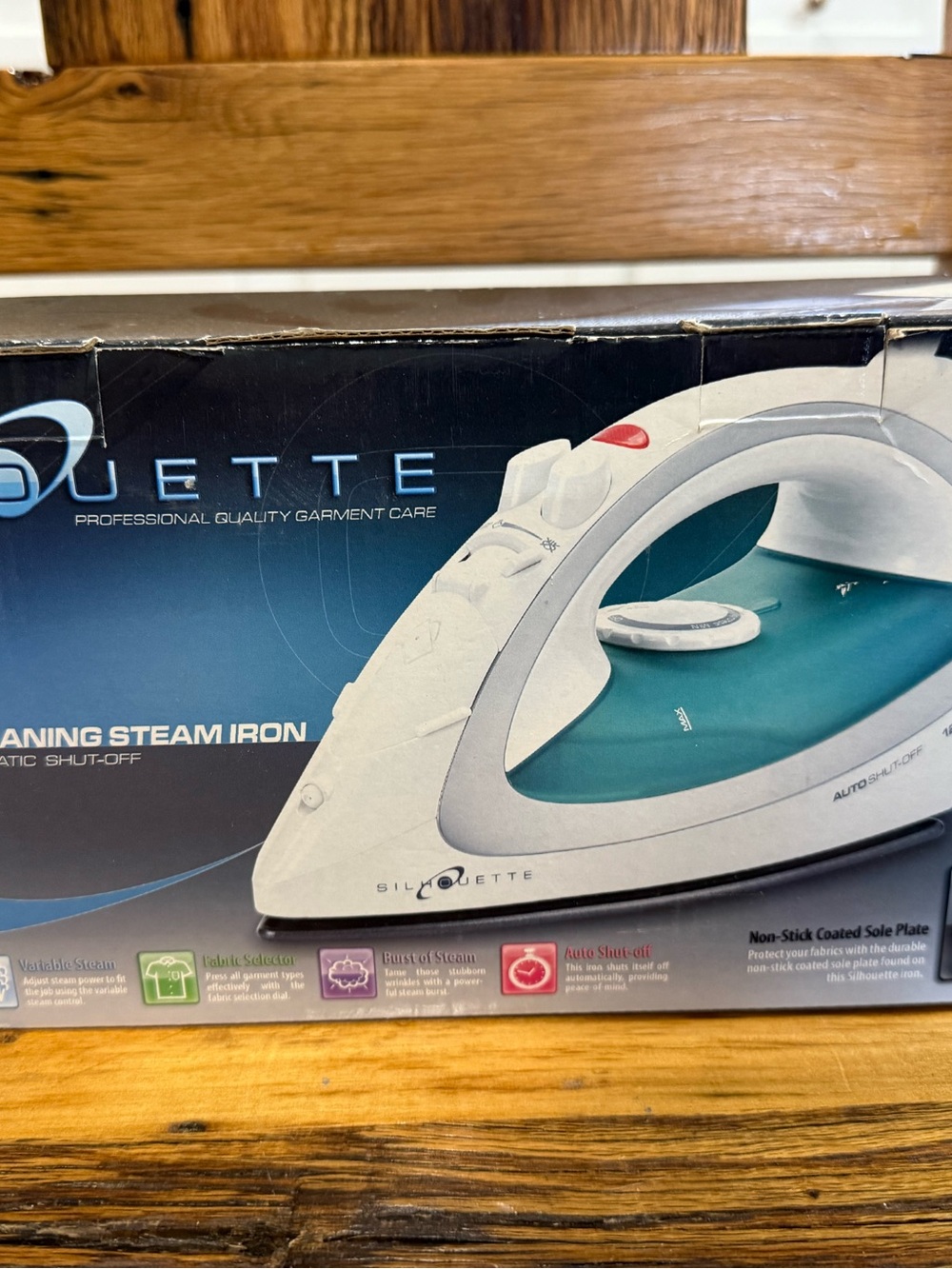Silhouette Garment Iron in Teal and White